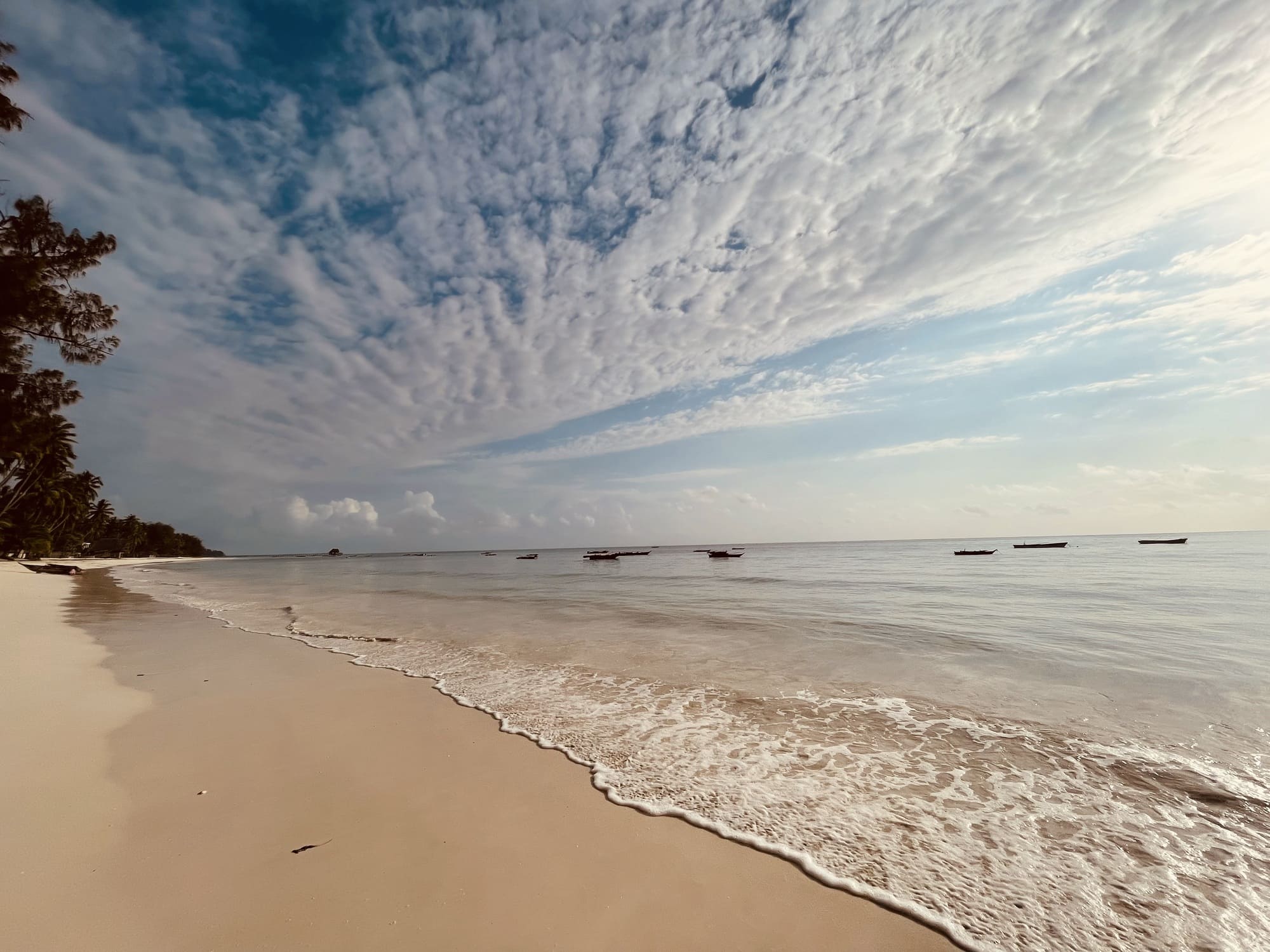 Sunset Paradise Zanzibar